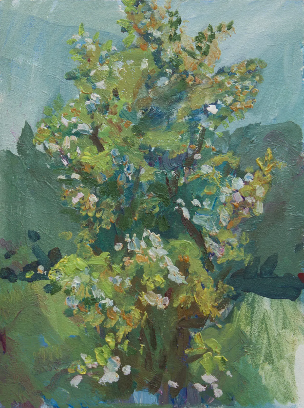 Blossom II