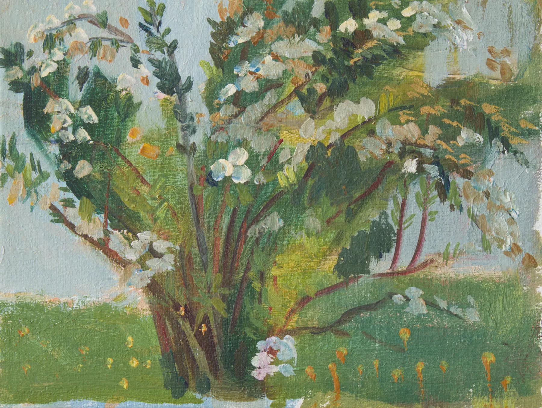 Blossom