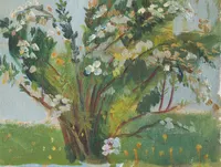 Blossom