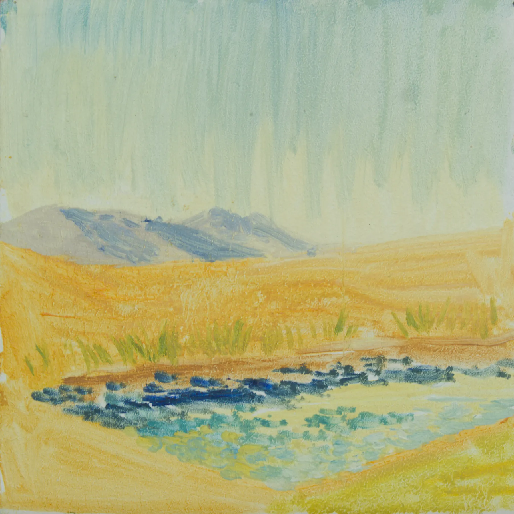 Tskhaltubo cows lake