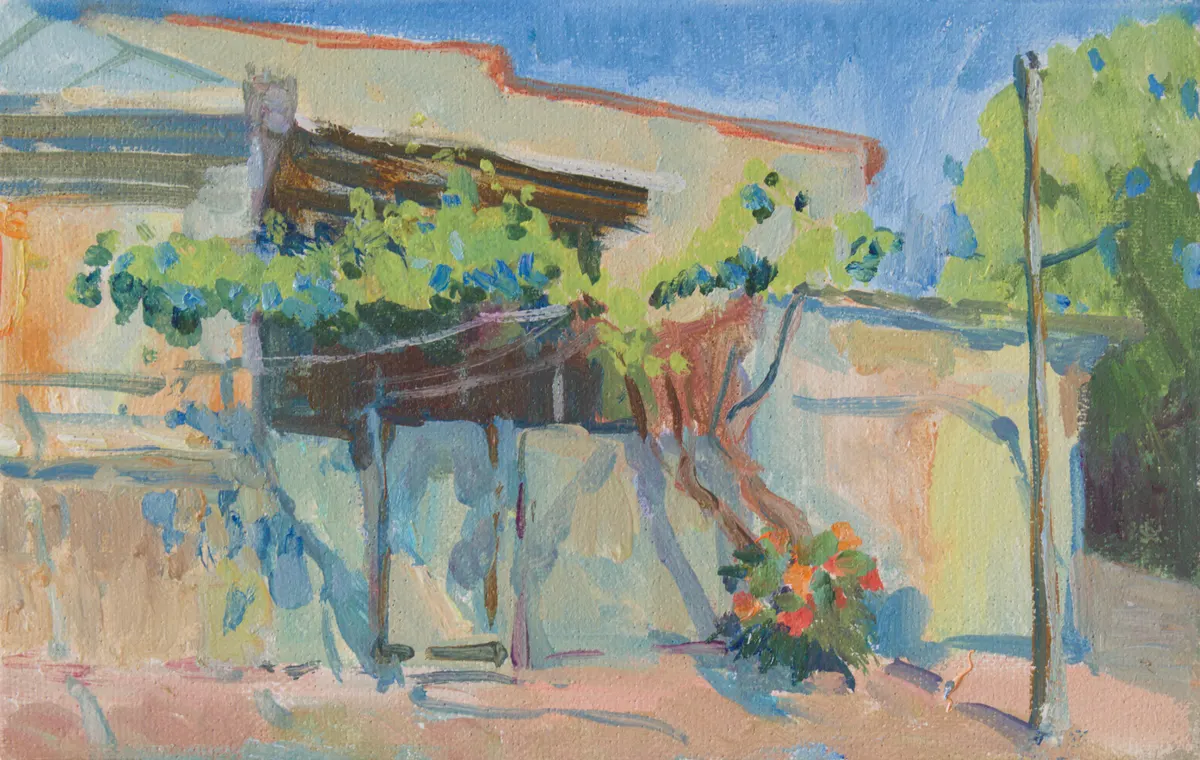 Kutaisi's courtyard