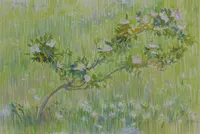 May's dogrose