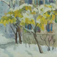Mimosa in the snow