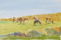 On the meadow