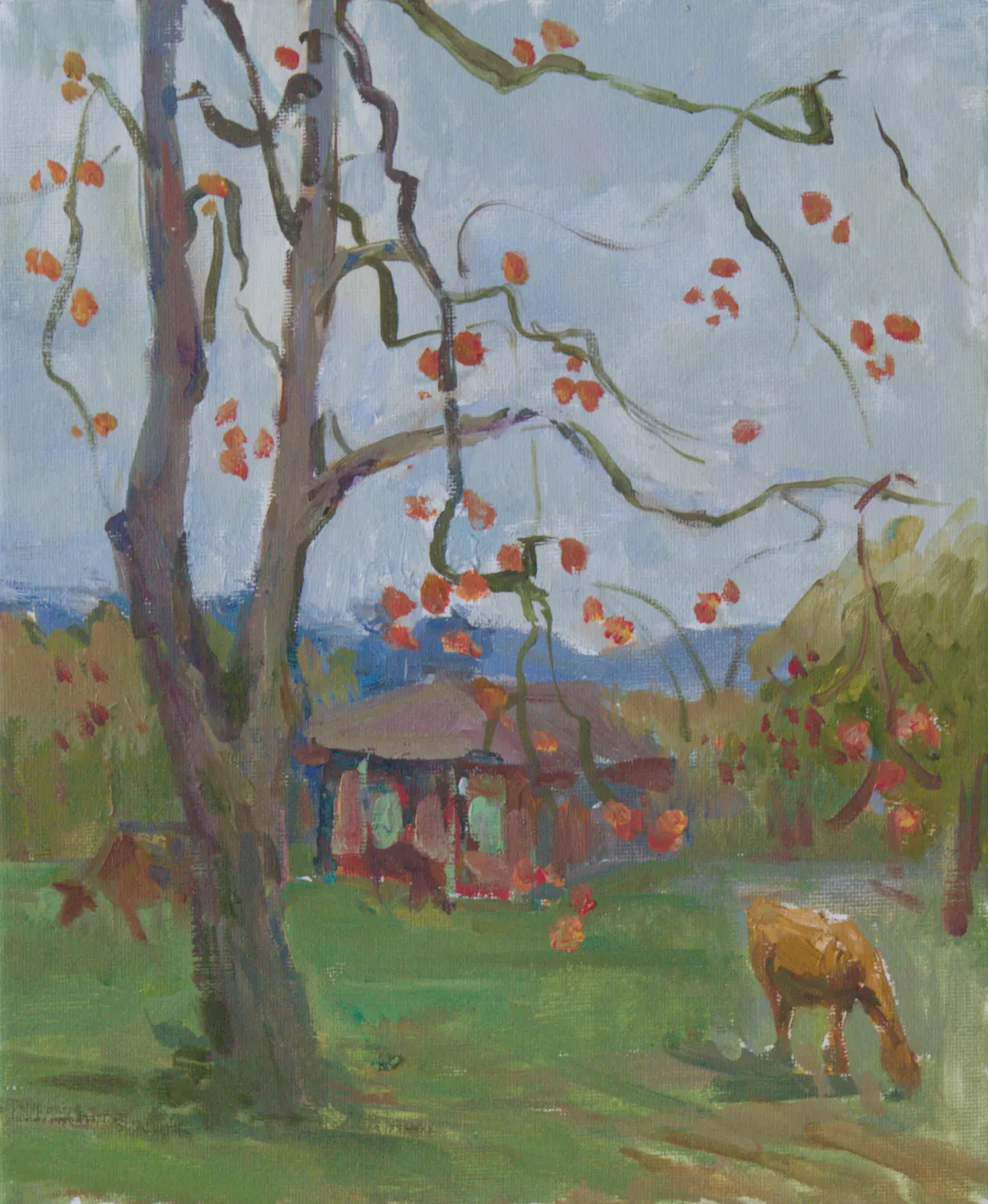 Persimmon season
