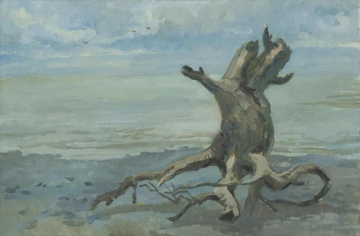 A snag