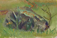 Study of a stone