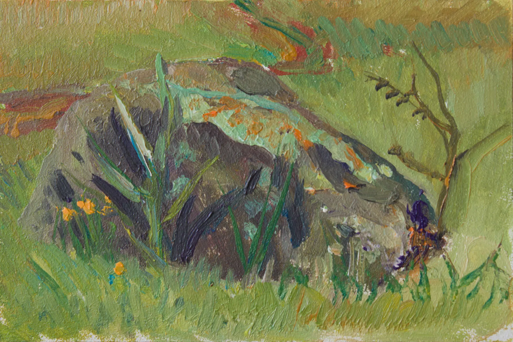 Study of a stone