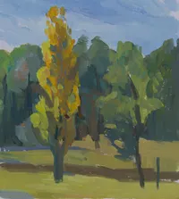 Wind blow